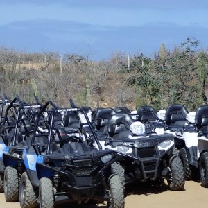 Cabo San Lucas: Donde el Deporte y la Inclusión se Encuentran | Inclusión Social y Transformación en Baja California Sur