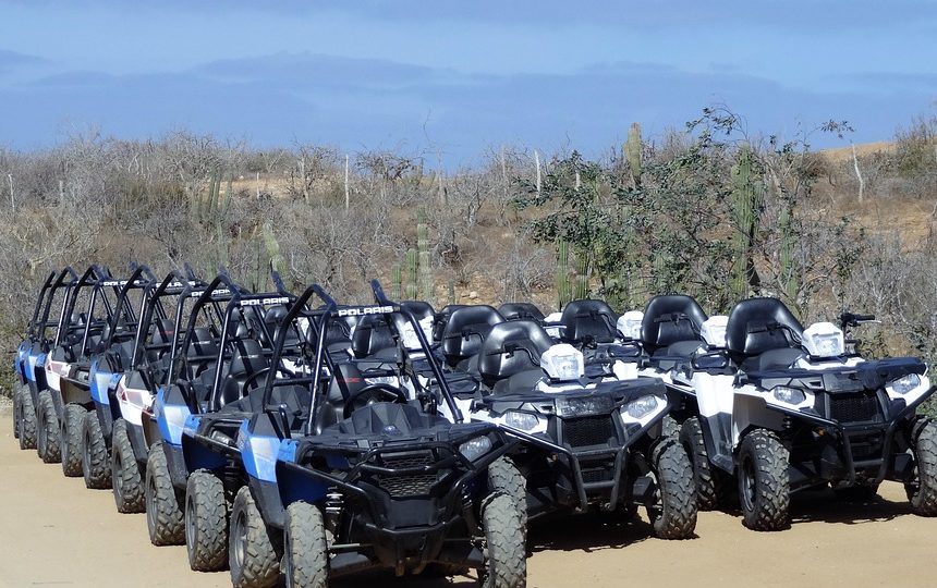 Cabo San Lucas: Donde el Deporte y la Inclusión se Encuentran | Inclusión Social y Transformación en Baja California Sur