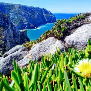 Cabo San Lucas: Un Refugio para el Deporte Inclusivo | Inclusión Social y Transformación en Baja California Sur