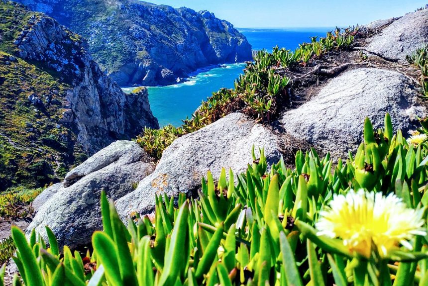 Cabo San Lucas: Un Refugio para el Deporte Inclusivo | Inclusión Social y Transformación en Baja California Sur