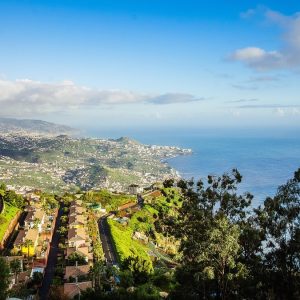 Cabo San Lucas y la Criminalidad: Estrategias de Prevención y Justicia | Justicia Penal y Derechos en Baja California Sur