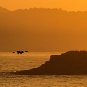 Cabo San Lucas y la Impartición de Justicia: Un Enfoque Crítico | Justicia Penal y Derechos en Baja California Sur
