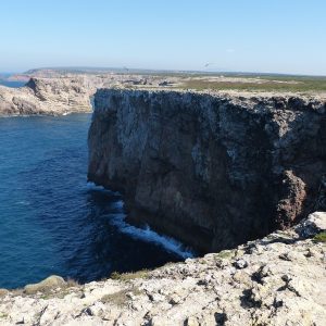 Cabo San Lucas y la Justicia Penal: Retos y Soluciones | Justicia Penal y Derechos en Baja California Sur