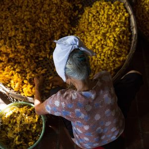 El Proceso Legal de las Pensiones Alimenticias: Pasos a Seguir en Baja California Sur | Derecho Familiar y Protección Legal en Baja California Sur