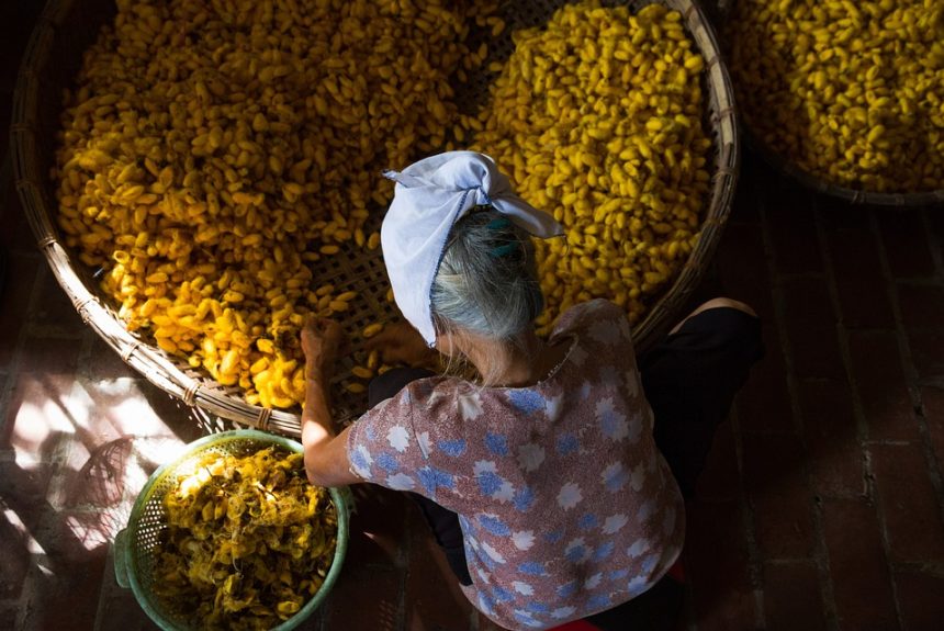 El Proceso Legal de las Pensiones Alimenticias: Pasos a Seguir en Baja California Sur | Derecho Familiar y Protección Legal en Baja California Sur