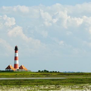 Guía Legal para el Cálculo de Pensiones Alimenticias en Los Cabos | Derecho Familiar y Protección Legal en Baja California Sur