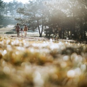 Juntos en el Juego: Fomentando la Inclusión a Través del Deporte | Inclusión Social y Transformación en Baja California Sur