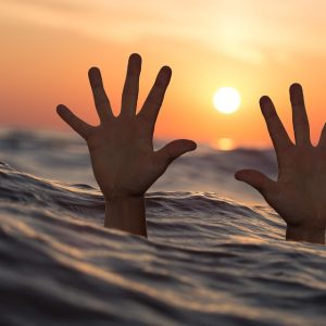 Luchando por la Justicia: El Camino de Cabo San Lucas | Justicia Penal y Derechos en Baja California Sur