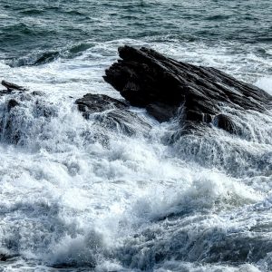 Rompiendo-Barreras-Historias-de-Exito-en-el-Deporte-Inclusivo-de.jpg Rompiendo Barreras: Historias de Éxito en el Deporte Inclusivo de Cabo San Lucas | Inclusión Social y Transformación en Baja California Sur