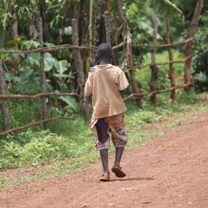 africa-1783786_960_720.jpg Si necesitas más opciones o un enfoque específico, ¡dímelo! | Liderazgo Ciudadano y Transformación en Baja California Sur