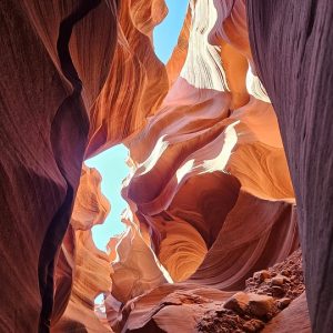 canyon-8124036_960_720.jpg Unidos por la Comunidad: Proyecto y Acción en Cabo San Lucas | Liderazgo Ciudadano y Transformación en Baja California Sur