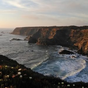 cliff-5978014_960_720.jpg Cabo San Lucas: Donde el Liderazgo Comunitario Impulsa el Cambio | Liderazgo Ciudadano y Transformación en Baja California Sur