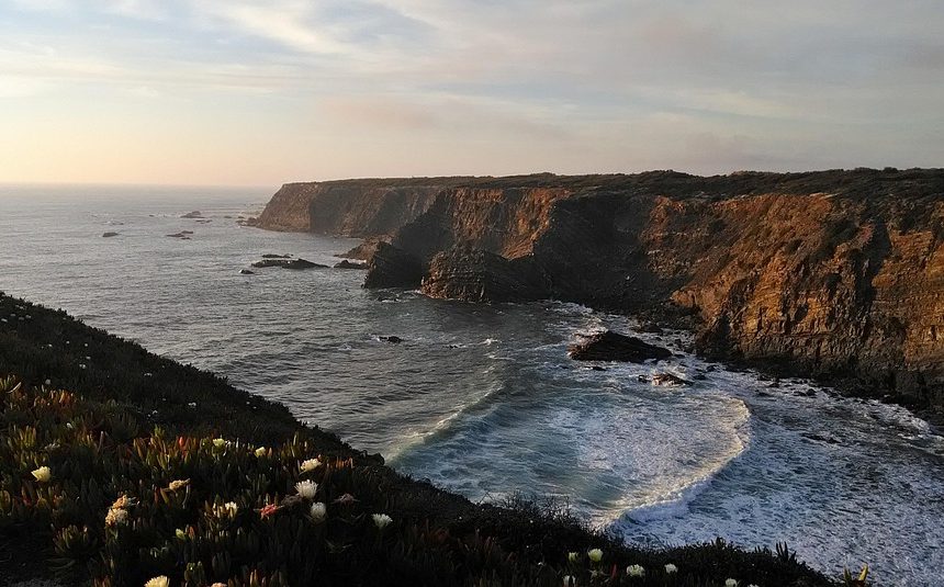 Cabo San Lucas: Donde el Liderazgo Comunitario Impulsa el Cambio | Liderazgo Ciudadano y Transformación en Baja California Sur