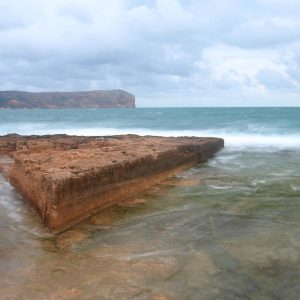 Cabo San Lucas: La Fuerza de la Comunidad en Tiempos de Cambio