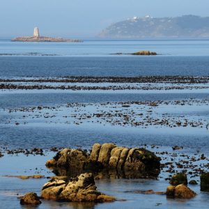 o-pindo-4355896_960_720.jpg Cabo San Lucas en Alerta: La Importancia de la Detección Temprana de Delitos