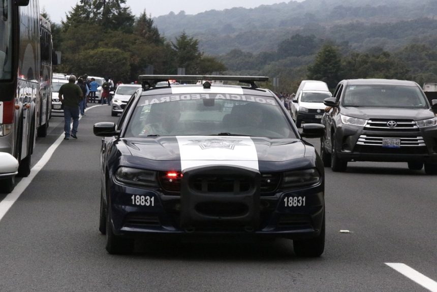 police-car-5423488_960_720.jpg Seguridad Ciudadana en Baja California Sur: Innovaciones en la Detección de Delitos | Seguridad en Baja California Sur