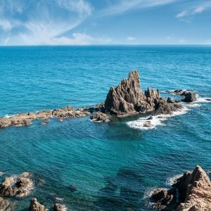 Cabo San Lucas: Estrategias Efectivas para la Detección Temprana de Delitos