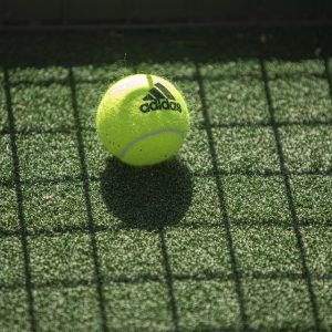 sports-5018607_960_720.jpg Aquí tienes 10 títulos para artículos sobre seguridad en Baja California Sur, especialmente para la audiencia de Cabo San Lucas: | Seguridad en Baja California Sur