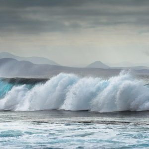 De la Playa a la Fiesta: La Magia de la Fotografía en Cabo San Lucas | Fotografía Profesional y Momentos Especiales en Baja California Sur