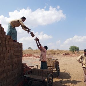 Construyendo Comunidades Resilientes: Acciones Ciudadanas en Cabo San Lucas | Liderazgo Ciudadano y Transformación en Baja California Sur