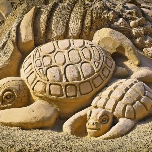 Construyendo un Futuro: Estrategias para Asegurar una Pensión Alimenticia Justa | Derecho Familiar y Protección Legal en Baja California Sur