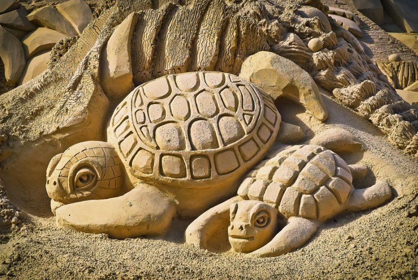 Construyendo un Futuro: Estrategias para Asegurar una Pensión Alimenticia Justa | Derecho Familiar y Protección Legal en Baja California Sur
