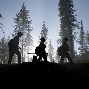 Defensores de la Justicia: Historias de Éxito en el Derecho Penal de BCS | Justicia Penal y Derechos en Baja California Sur