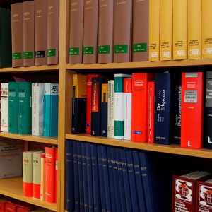 Derecho Familiar en Cabo San Lucas: Respuestas a Preguntas Frecuentes sobre Pensiones Alimenticias | Derecho Familiar y Protección Legal en Baja California Sur