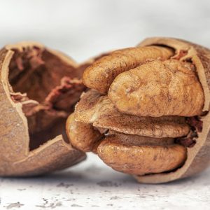 Derechos y Obligaciones: Entendiendo la Pensión Alimenticia en el Proceso de Divorcio | Derecho Familiar y Protección Legal en Baja California Sur