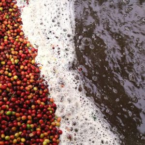 El Proceso Judicial de Pensión Alimenticia en Cabo San Lucas: Paso a Paso | Derecho Familiar y Protección Legal en Baja California Sur