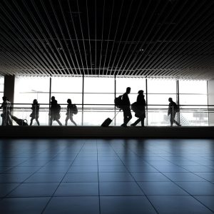 Espero que estos títulos te sean útiles e inspiradores para tus artículos. | Justicia Penal y Derechos en Baja California Sur