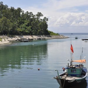 Evitando Errores Comunes en el Proceso de Pensión Alimenticia en Cabo San Lucas | Derecho Familiar y Protección Legal en Baja California Sur