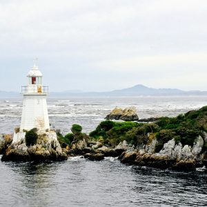 Guía Práctica: La Pensión Alimenticia Tras un Divorcio en Cabo San Lucas | Derecho Familiar y Protección Legal en Baja California Sur