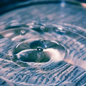 Impacto de las Reformas Legales en las Pensiones Alimenticias en Cabo San Lucas | Derecho Familiar y Protección Legal en Baja California Sur