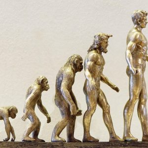 La Evolución del Derecho Penal en Cabo San Lucas: Retos y Oportunidades | Justicia Penal y Derechos en Baja California Sur