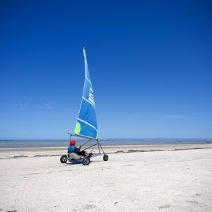 Navegando el Laberinto Legal: Consejos de una Abogada Penalista en Cabo San Lucas | Justicia Penal y Derechos en Baja California Sur