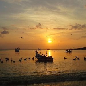 Nuevas Fronteras: Acceso y Oportunidades Deportivas en Cabo San Lucas | Inclusión Social y Transformación en Baja California Sur
