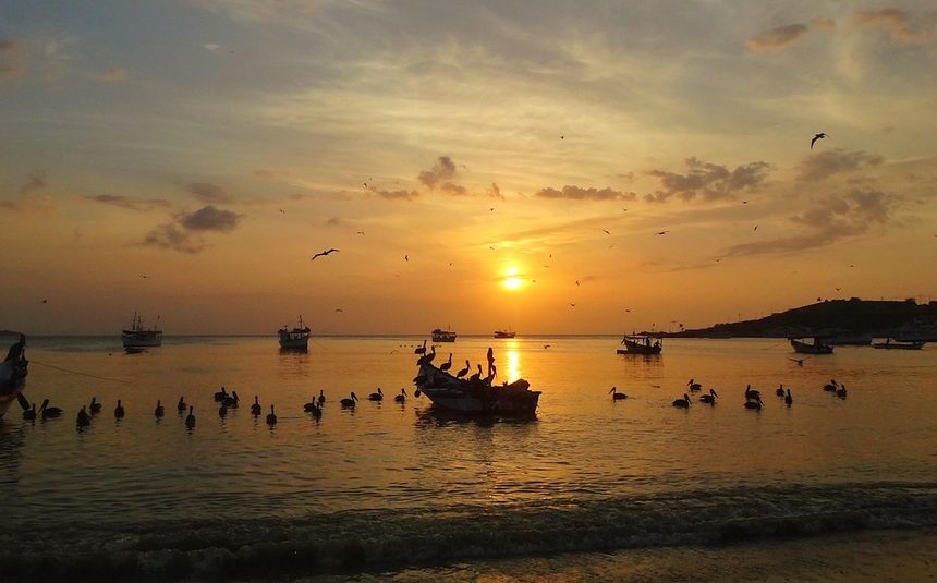 Nuevas Fronteras: Acceso y Oportunidades Deportivas en Cabo San Lucas | Inclusión Social y Transformación en Baja California Sur