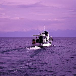 Pensión Alimenticia: Protegiendo el Bienestar de los Menores en Cabo San Lucas | Derecho Familiar y Protección Legal en Baja California Sur