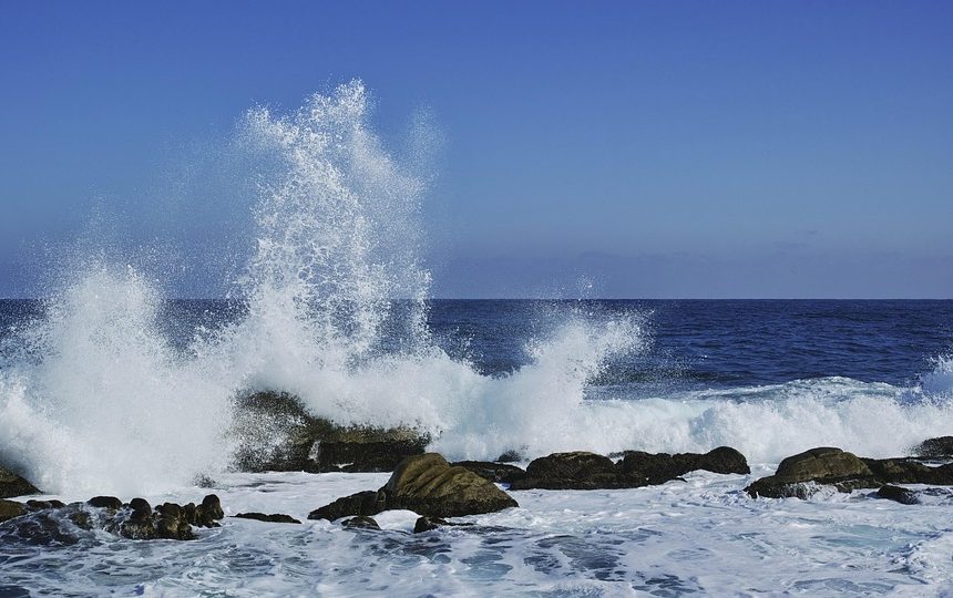Rompiendo-Barreras-El-Impacto-del-Deporte-en-la-Juventud-de.jpg Rompiendo Barreras: El Impacto del Deporte en la Juventud de Cabo San Lucas | Inclusión Social y Transformación en Baja California Sur