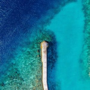 Explora Los Cabos: Tips de Fotografía Profesional para Capturar el Encanto Local | Fotografía Profesional y Momentos Especiales en Baja California Sur
