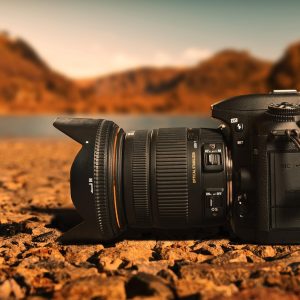 Fotografiando la Vida Silvestre: Un Guía en Cabo San Lucas | Fotografía Profesional y Momentos Especiales en Baja California Sur
