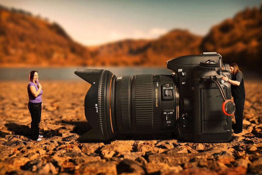 Fotografiando la Vida Silvestre: Un Guía en Cabo San Lucas | Fotografía Profesional y Momentos Especiales en Baja California Sur