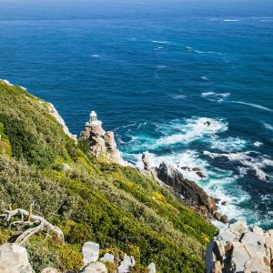 Cabo San Lucas a Través del Lente: Tips para Fotografía de Naturaleza | Fotografía Profesional y Momentos Especiales en Baja California Sur