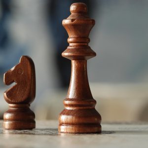 chess-2950293_960_720.jpg Liderazgo Comunitario: La Fuerza de la Transformación Social en Cabo San Lucas | Liderazgo Ciudadano y Transformación en Baja California Sur