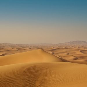 Unidos por el Cambio: La Acción Colectiva en Cabo San Lucas | Liderazgo Ciudadano y Transformación en Baja California Sur