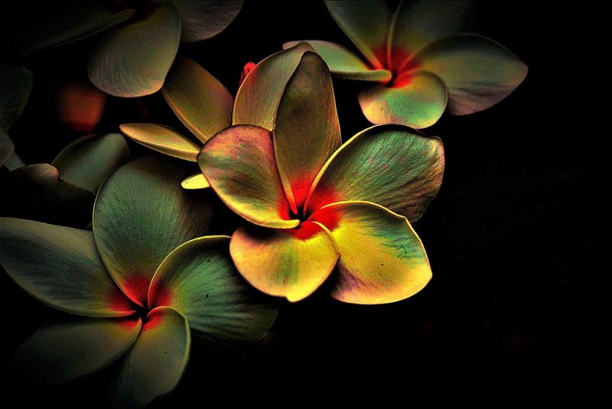 Colores y Texturas: La Fotografía de Productos en el Escenario Perfecto de Cabo San Lucas | Fotografía Profesional y Momentos Especiales en Baja California Sur