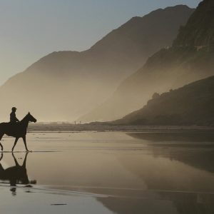 Cabo San Lucas a Través del Lente: Fotografía Profesional de Productos | Fotografía Profesional y Momentos Especiales en Baja California Sur