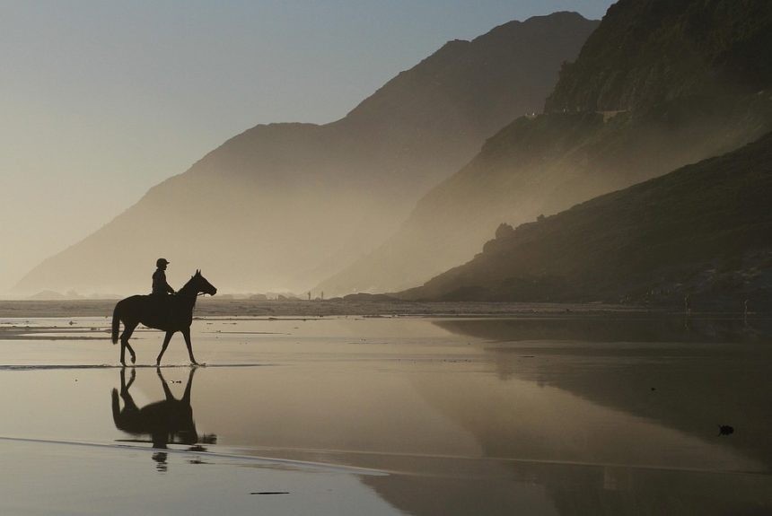 Cabo San Lucas a Través del Lente: Fotografía Profesional de Productos | Fotografía Profesional y Momentos Especiales en Baja California Sur