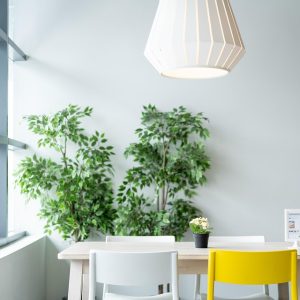 ikea-4048225_960_720.jpg Viviendo la Fotografía Freelance en Cabo San Lucas: Reflexiones y Desafíos | Fotografía Profesional y Momentos Especiales en Baja California Sur
